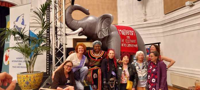 Elefant-im-Klimaraum-Bild